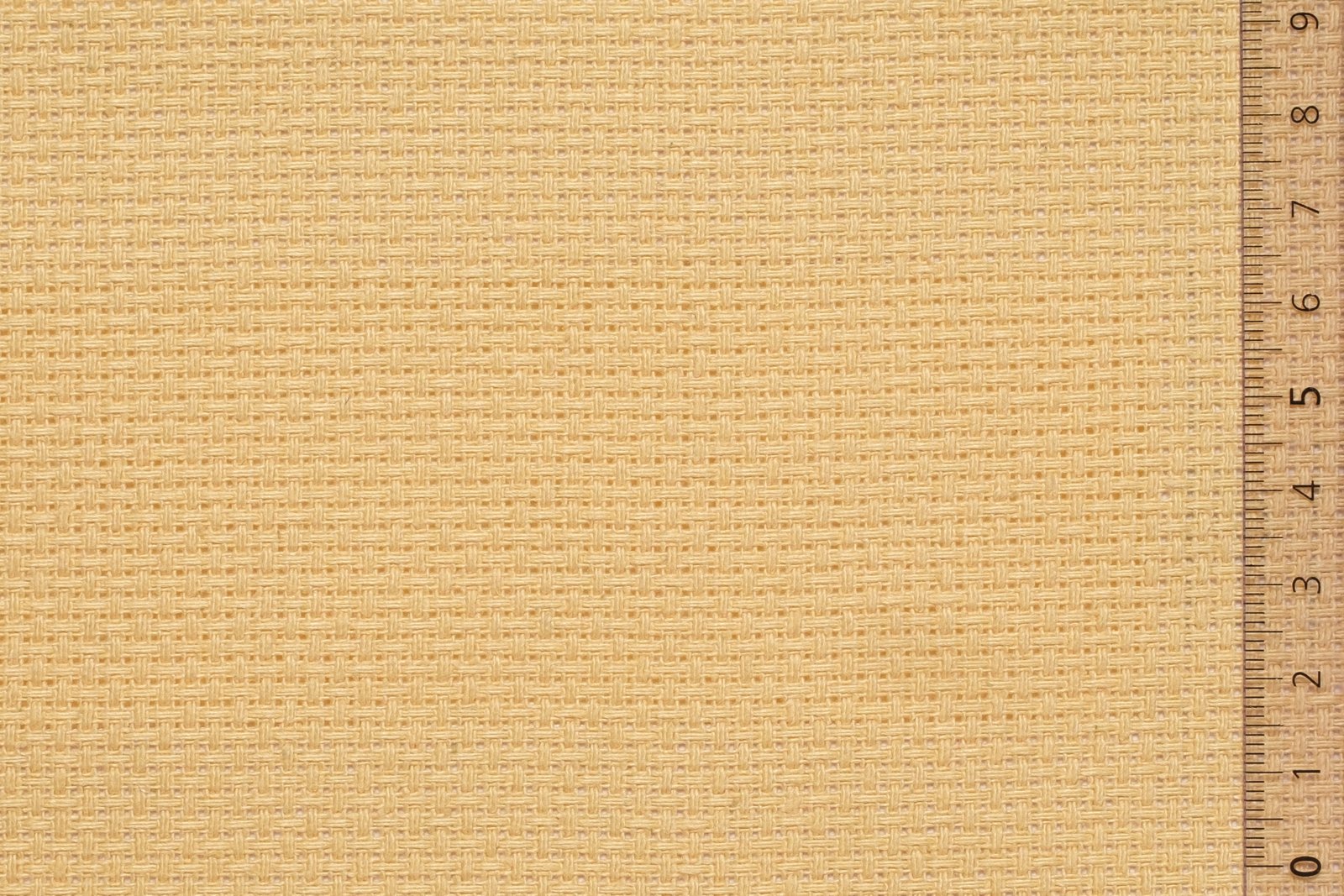 06AID40YELxxxCOT[AIDAMAS 40](YELLOW)F